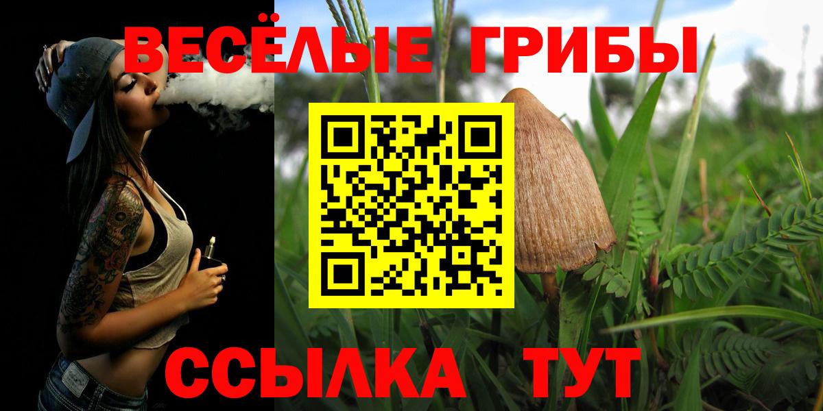Галлюциногенные грибы мицелий Дедовск
